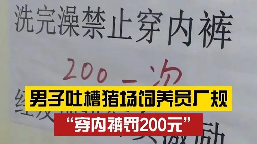 养猪场饲养员洗澡穿内裤为什么被罚款200