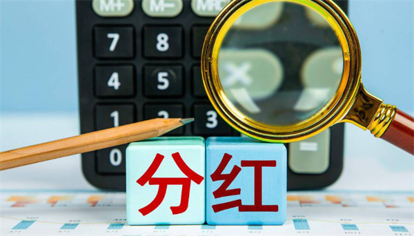 分红政策和发放时间是如何确定的