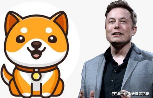 马斯克评价AIdoge，马斯克评价aidoge