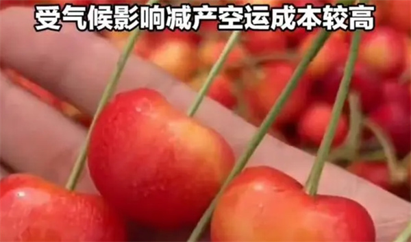车厘子身价暴涨