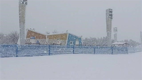 烟台冷流雪如北极科考是真的吗