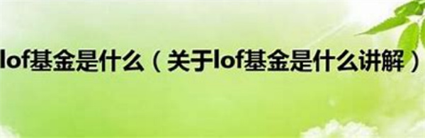 基金后面lof代表什么