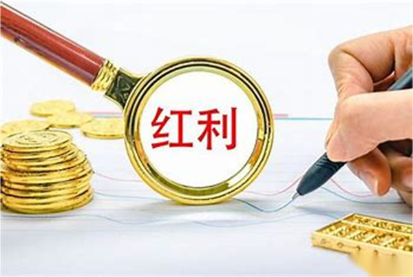 现金分红和红利再投资是什么