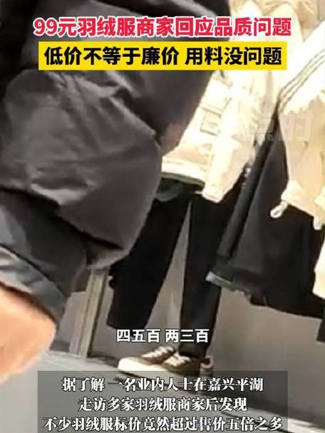 99元羽绒服商家回应品质问题