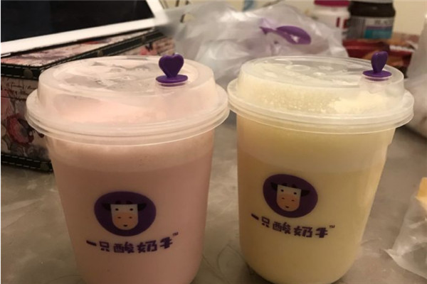 饮品加盟10大品牌排行榜：大卡司上榜，它专注于酸奶