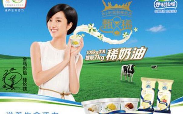 冰淇淋品牌加盟排行榜前十名，冰淇淋连锁店哪个好