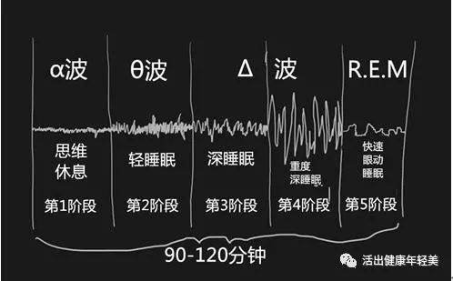 《鸣龙少年》睡眠周期有科学依据嘛 鸣龙少年学习方法总结