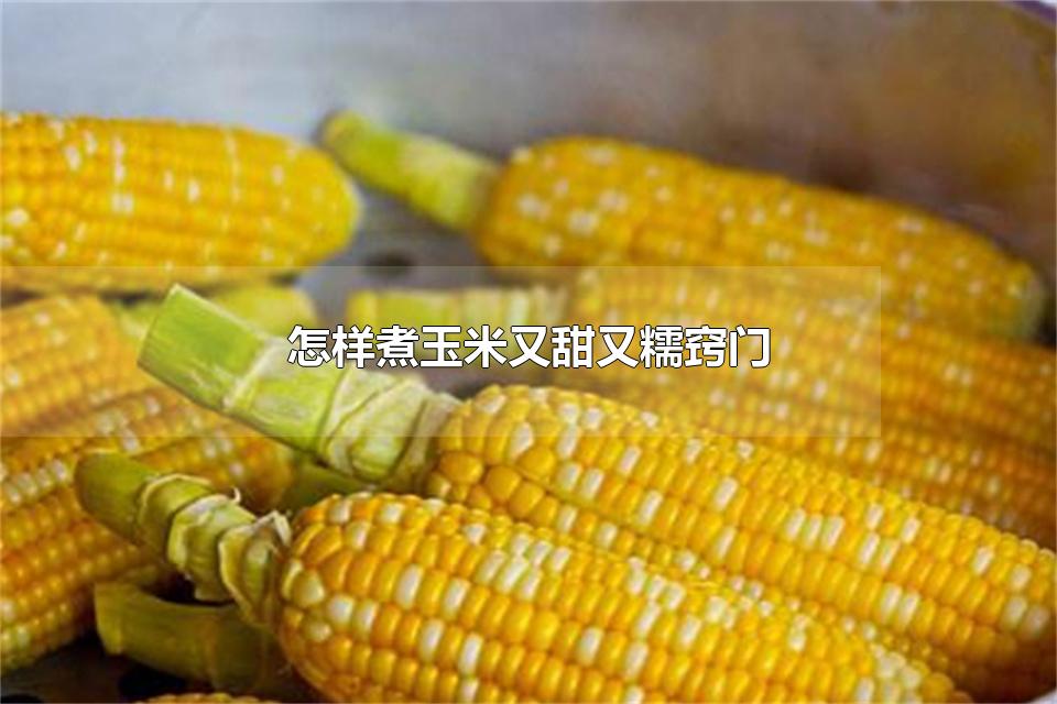 怎样煮玉米又甜又糯窍门 煮玉米放多少水