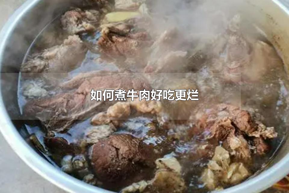 如何煮牛肉好吃更烂 怎么让牛肉快速煮烂