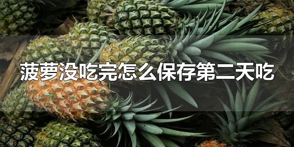 菠萝没吃完怎么保存第二天吃 用盐水浸泡菠萝的原因