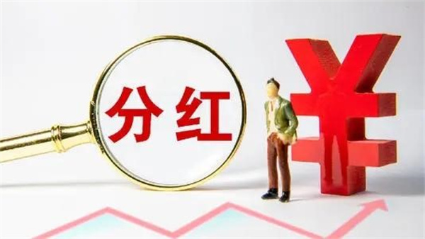 基金分红会减少基金份额吗