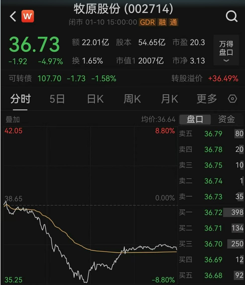 股价一度跌逾8%