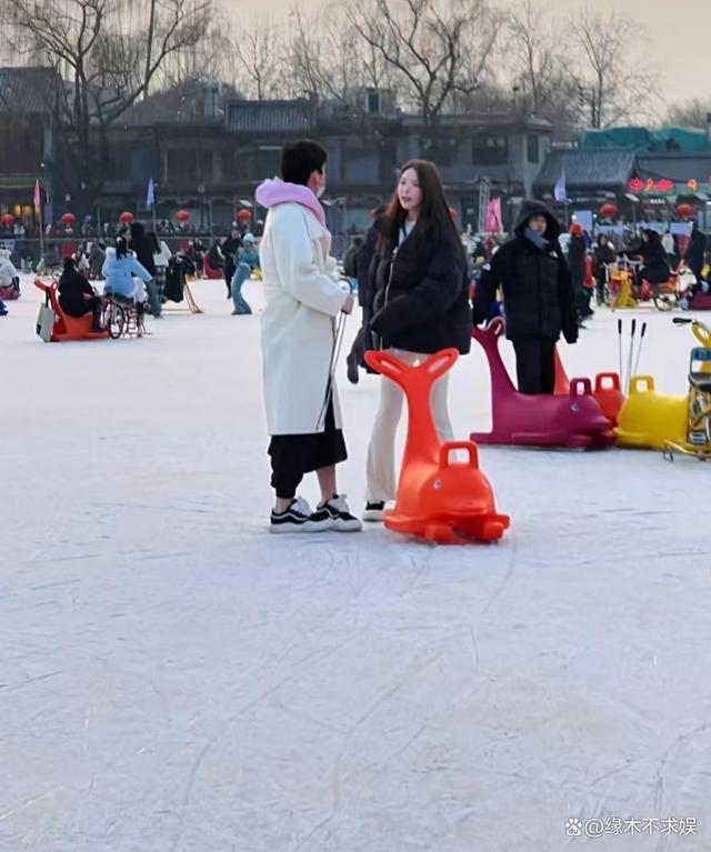 王大陆带女友什刹海滑冰 新女友正面照曝光五官精致脸型圆润