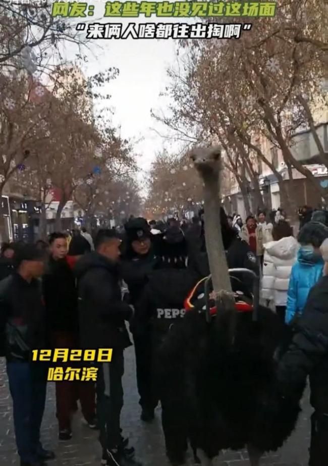 “尔滨你让我感到陌生”是什么梗 今年的哈尔滨太会整活了！