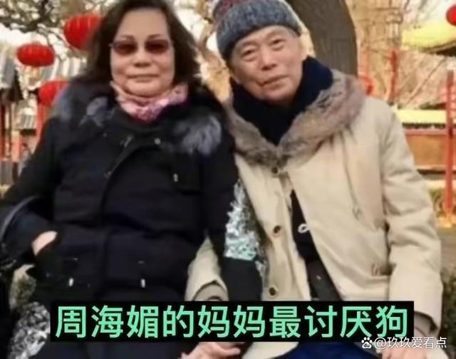 演员李勤勤收养周海媚爱犬墩墩：一定会替她把“毛孩子”照顾好！