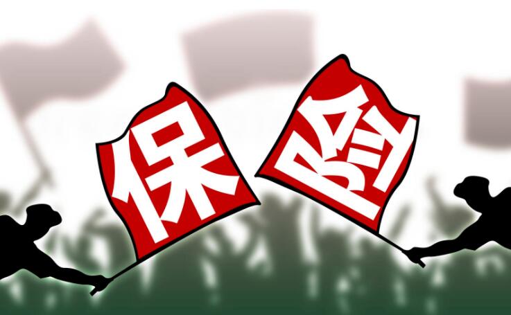 保险有哪些险种