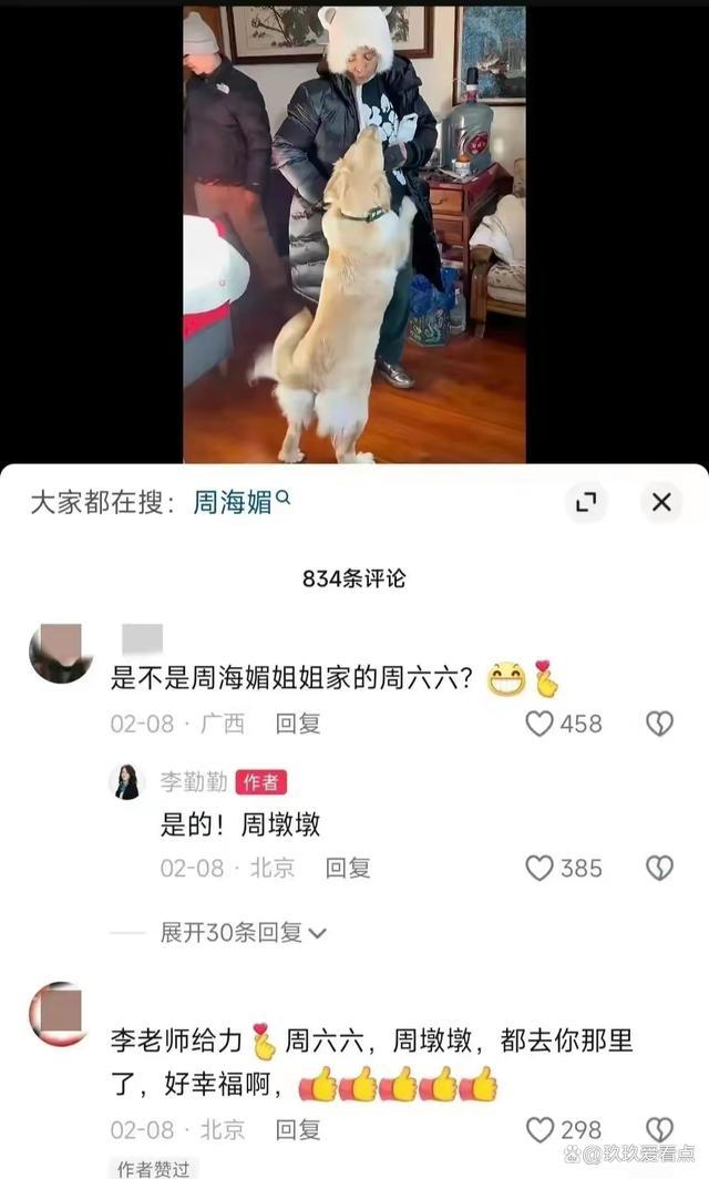 演员李勤勤收养周海媚爱犬墩墩：一定会替她把“毛孩子”照顾好！