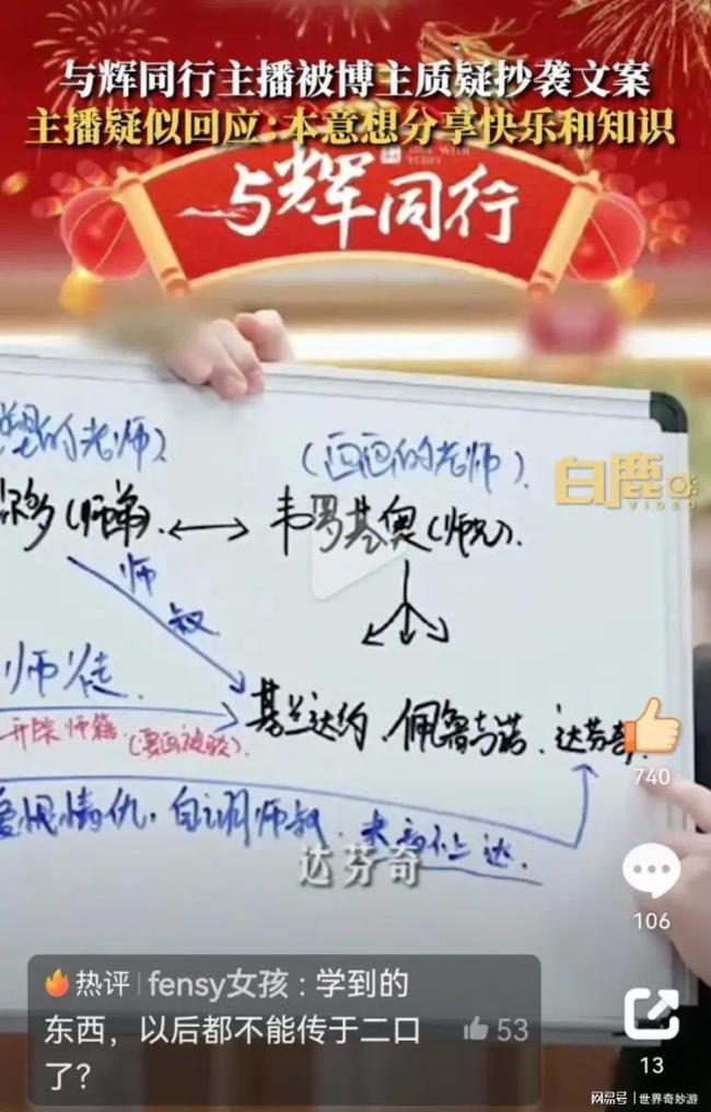 与辉同行主播董董道歉 疑回应抄袭文案