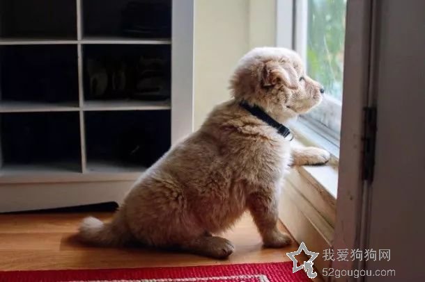 我真的很爱你，所以请不要轻易抛弃我……