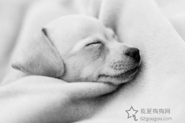 我真的很爱你，所以请不要轻易抛弃我……