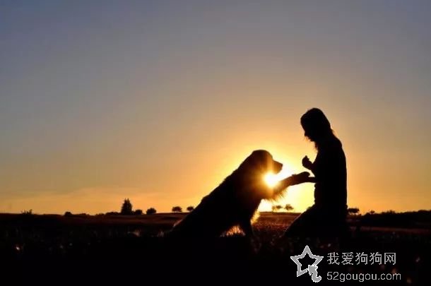 我真的很爱你，所以请不要轻易抛弃我……