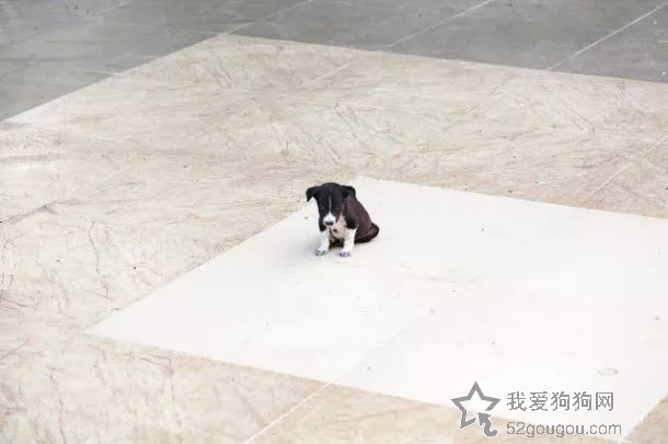 我真的很爱你，所以请不要轻易抛弃我……