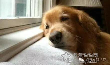 只有上帝知道，我有多爱你……