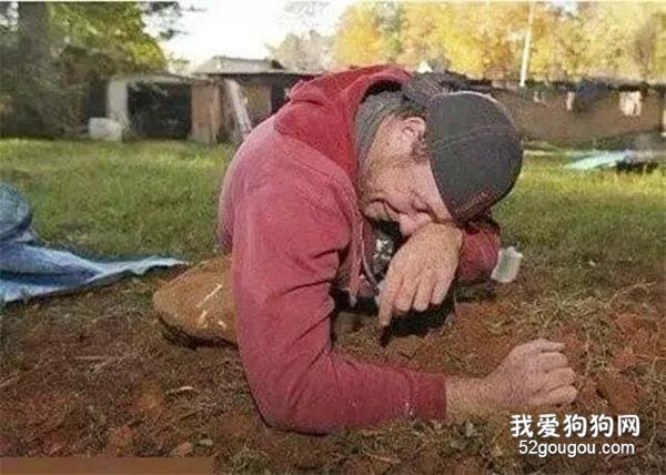 那些没有良心的人，你真的不如一条狗！
