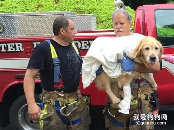 那些没有良心的人，你真的不如一条狗！