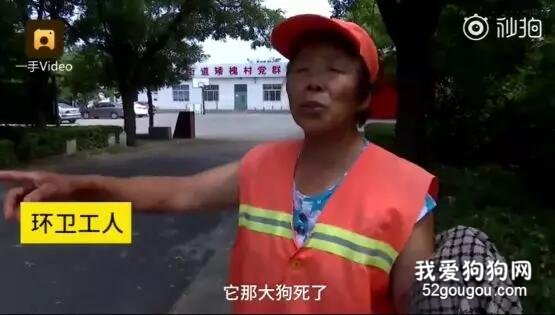 残忍！刚出生的小狗就被扔到垃圾桶，在死去的