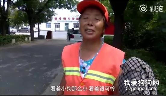 残忍！刚出生的小狗就被扔到垃圾桶，在死去的