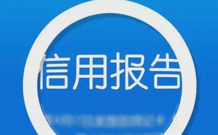 个人报告能查哪些内容 包括这些信息