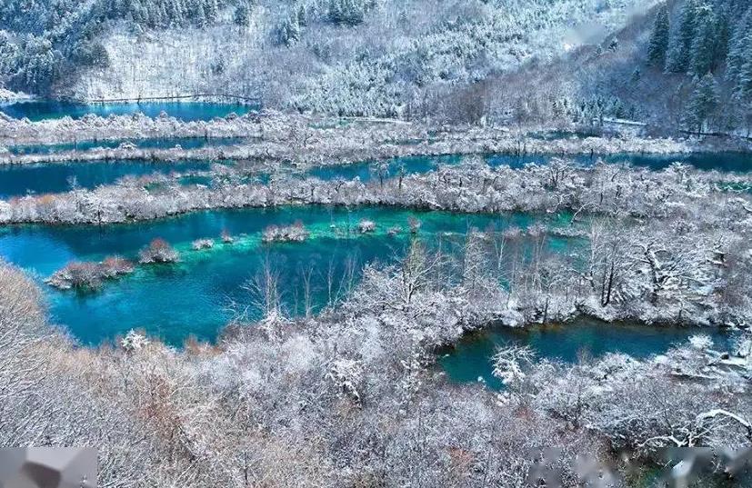 游客九寨沟拍照被居民辱骂 景区回应已给相关部门处理