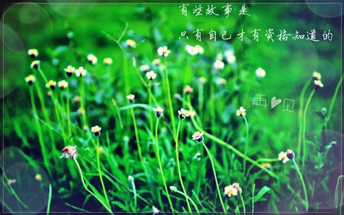一个人郁闷的语录