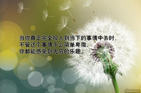 马云演讲语录短语