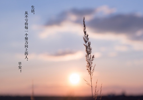 年轻不受苦的经典语录