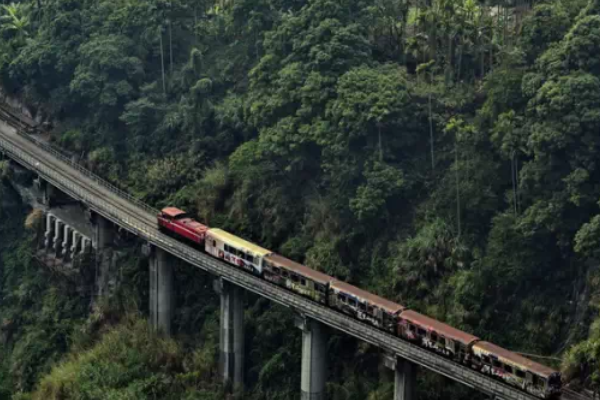 世界上仅存的三条高山铁路之一：阿里山铁路(位于中国台湾境内)