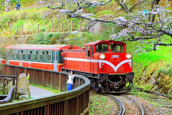 世界上仅存的三条高山铁路之一：阿里山铁路(位于中国台湾境内)