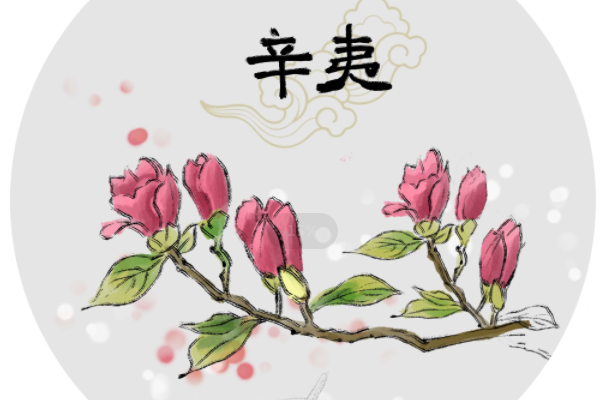 中国辛夷之乡：南召县美称(种植面积达8万亩)