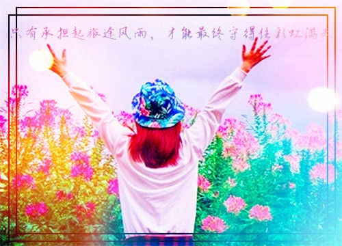 向日葵哲学经典语录