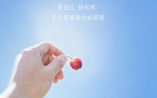 赞美黄果树的经典语录