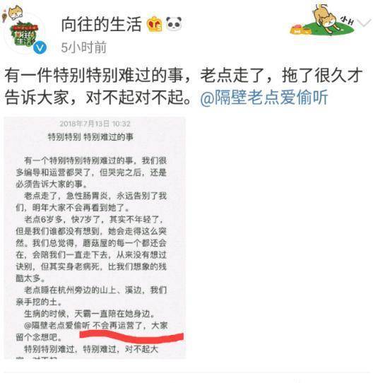 《向往的生活》小羊小不点去世 小不点去和妈妈团聚了！