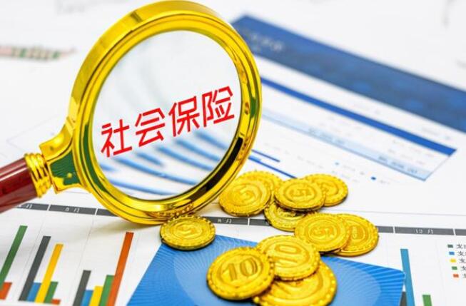 南京社会保险的缴纳比例是多少 如何缴纳