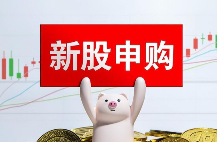创业板新股申购需要什么条件 具体情况如下
