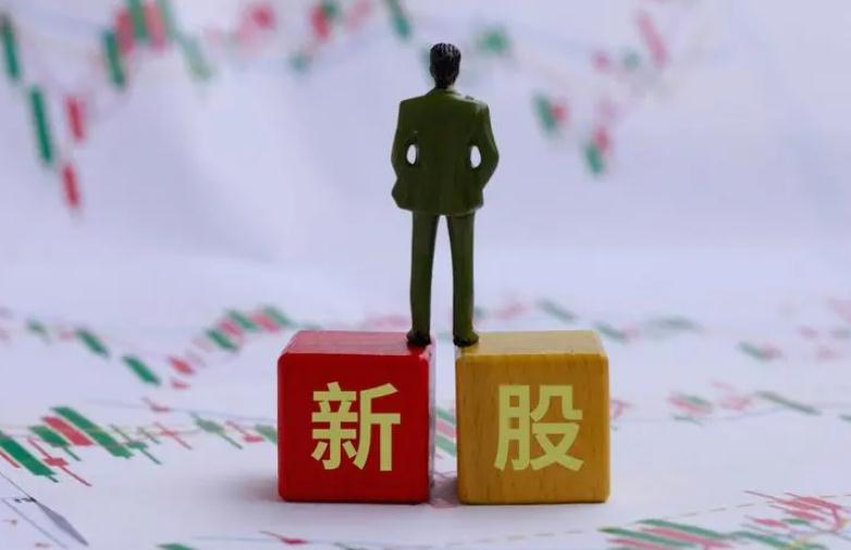 新股如何查询中签 多种方法给你查询