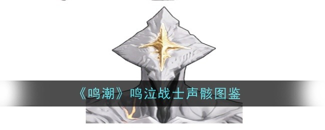 鸣潮鸣泣战士声骸怎么样,声音残影图谱