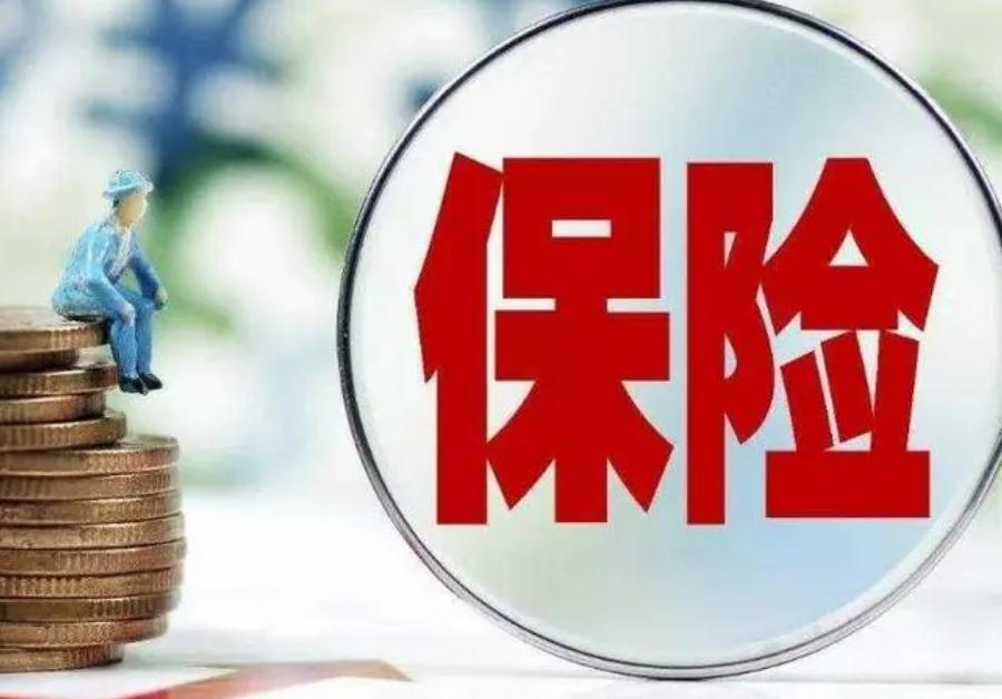 办保险需要带哪些材料 通常需要提供以下材料