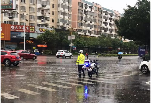 桂林的雨到底有多大_洪水红色预警，多景区暂闭！桂林的雨到底有多大？北方网友：分给我们点吧