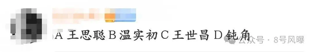 关于王xx私生子的瓜