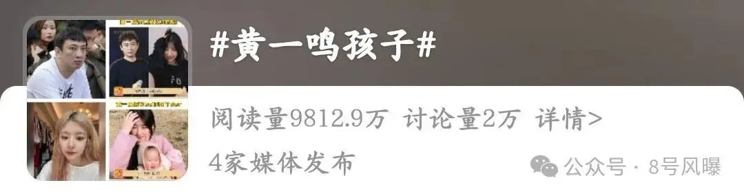 关于王xx私生子的瓜